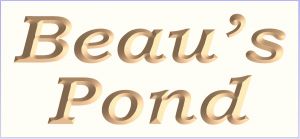 Beau s Pond sign